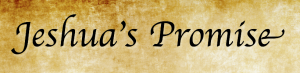 Jeshua's promise copy” copy